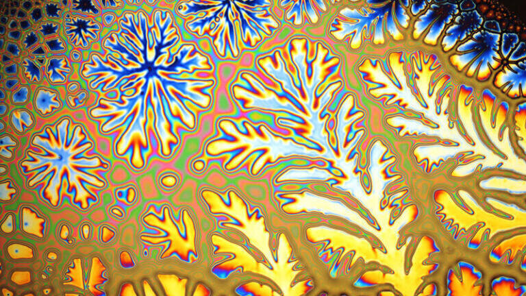 Light Microscopy - Physical Sciences 
1st Prize
Pattern in a TiO2 sol-gel created by viscous fingers and light interference. Reflected light 200x magnification
In a sol-gel process, particles in a colloidal solution (sol) are converted to form a solid network (gel). Here, a spin-coated liquid sol film was covered by glass slide. Before solidifying air displaces the sol forming the viscous fingers pattern. The thin film interferes with visible light creating the colours.
Claire Trease, Kingston University

